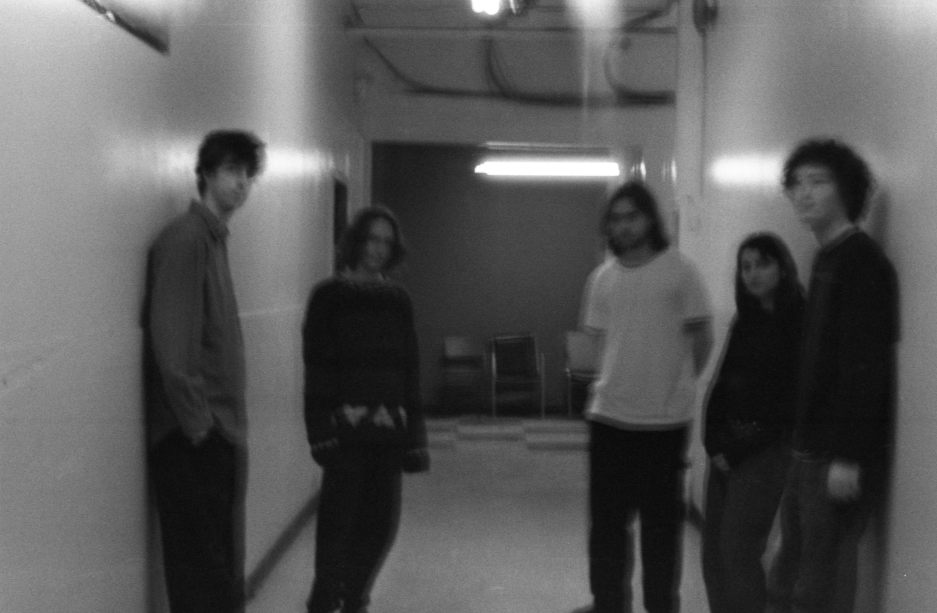 Fleeting Colours performing live